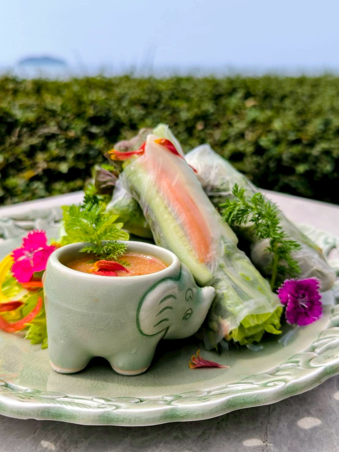 Fresh Spring Rolls (V)